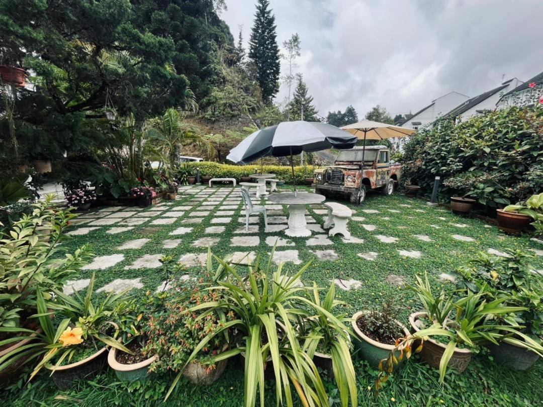Big Dreams Garden Stay Tanah Rata Luaran gambar